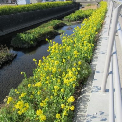 田原で新築、一戸建てを建てるならここちeeハウス