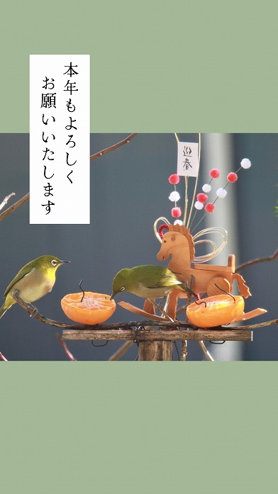 田原市で新築、建て替えならここちeeハウス