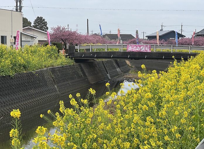 田原市でリフォームするならここちeeハウス