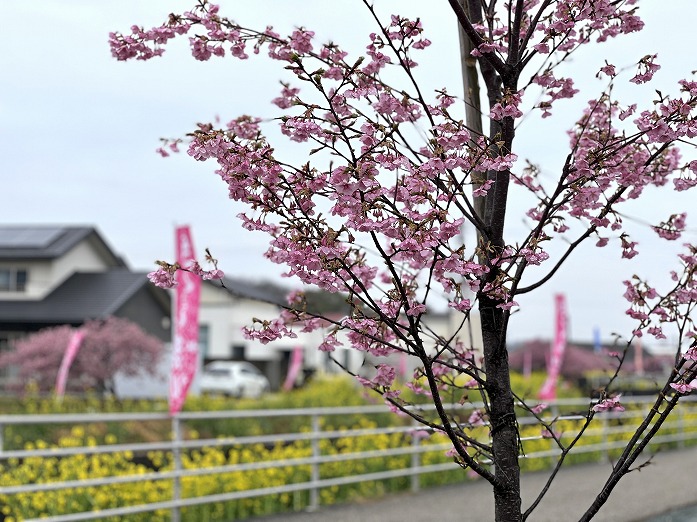 田原市でリフォームするならここちeeハウス