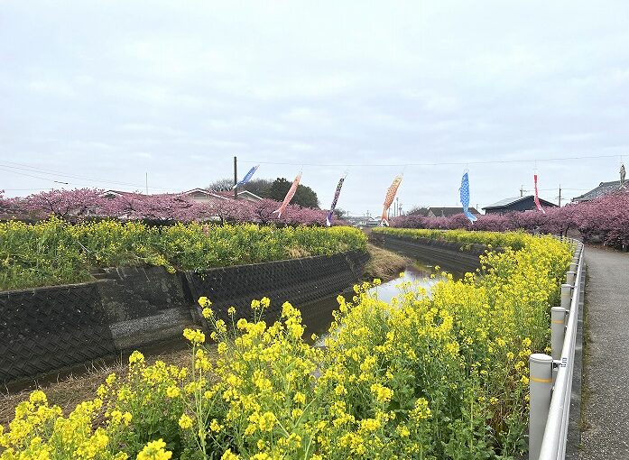 田原市でリフォームするならここちeeハウス